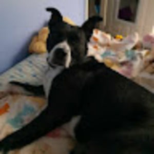 Meet your Posher, Lucy